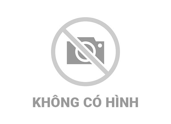 Đảng bộ xã Tân Tiến: Kỉ nguyên vươn mình của dân tộc.